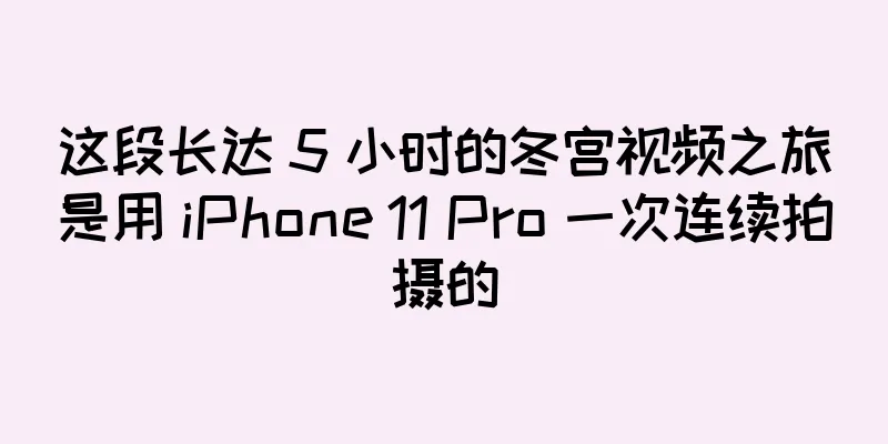 这段长达 5 小时的冬宫视频之旅是用 iPhone 11 Pro 一次连续拍摄的