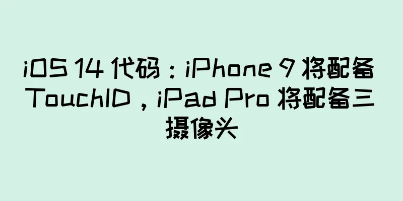 iOS 14 代码：iPhone 9 将配备 TouchID，iPad Pro 将配备三摄像头