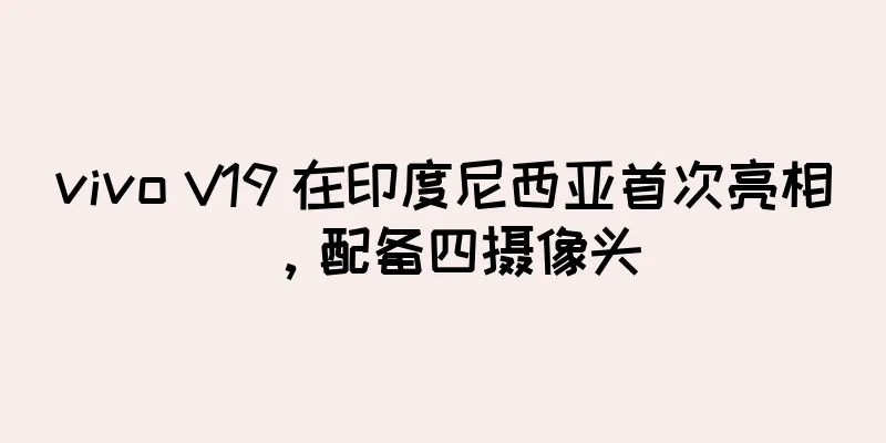 vivo V19 在印度尼西亚首次亮相，配备四摄像头
