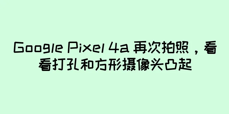 Google Pixel 4a 再次拍照，看看打孔和方形摄像头凸起