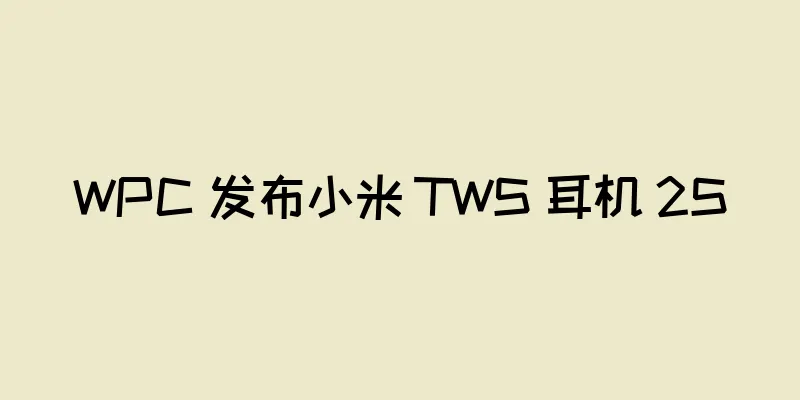 WPC 发布小米 TWS 耳机 2S