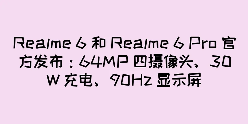 Realme 6 和 Realme 6 Pro 官方发布：64MP 四摄像头、30W 充电、90Hz 显示屏