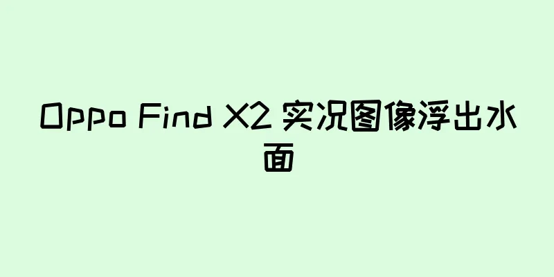 Oppo Find X2 实况图像浮出水面