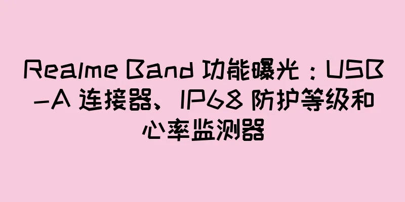 Realme Band 功能曝光：USB-A 连接器、IP68 防护等级和心率监测器