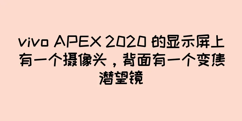 vivo APEX 2020 的显示屏上有一个摄像头，背面有一个变焦潜望镜