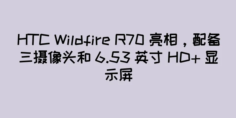 HTC Wildfire R70 亮相，配备三摄像头和 6.53 英寸 HD+ 显示屏