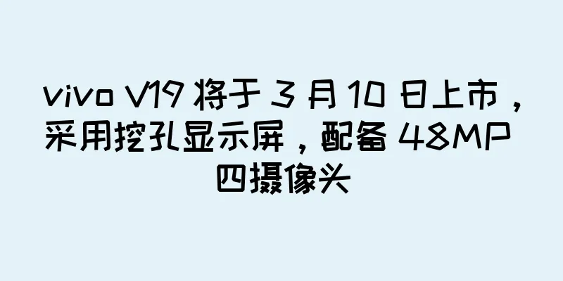 vivo V19 将于 3 月 10 日上市，采用挖孔显示屏，配备 48MP 四摄像头