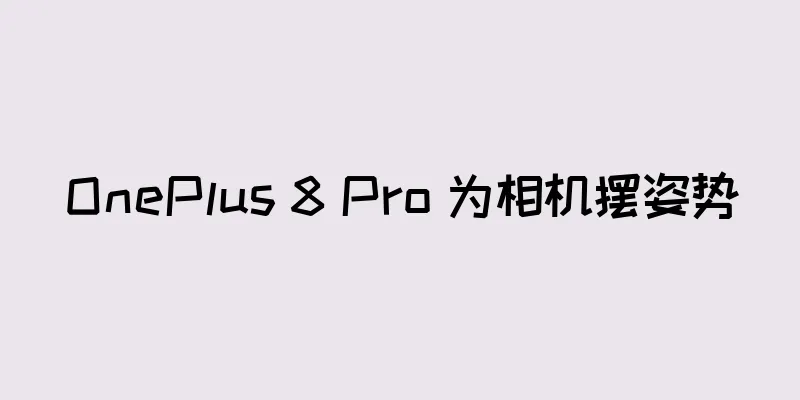 OnePlus 8 Pro 为相机摆姿势