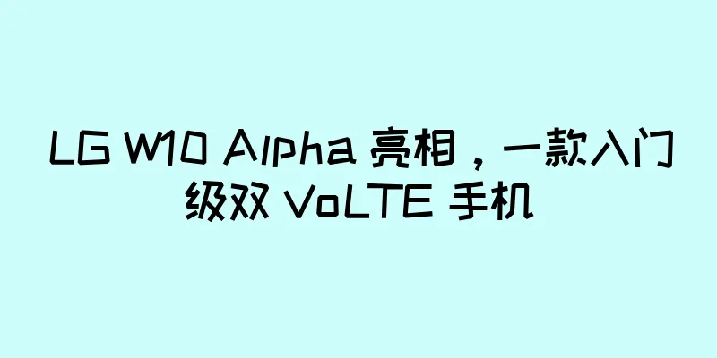 LG W10 Alpha 亮相，一款入门级双 VoLTE 手机