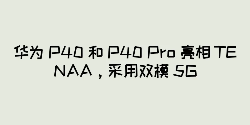 华为 P40 和 P40 Pro 亮相 TENAA，采用双模 5G