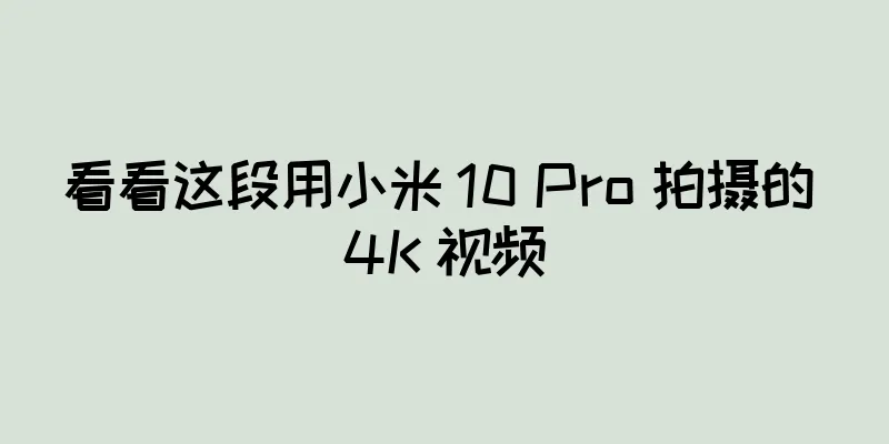 看看这段用小米 10 Pro 拍摄的 4K 视频