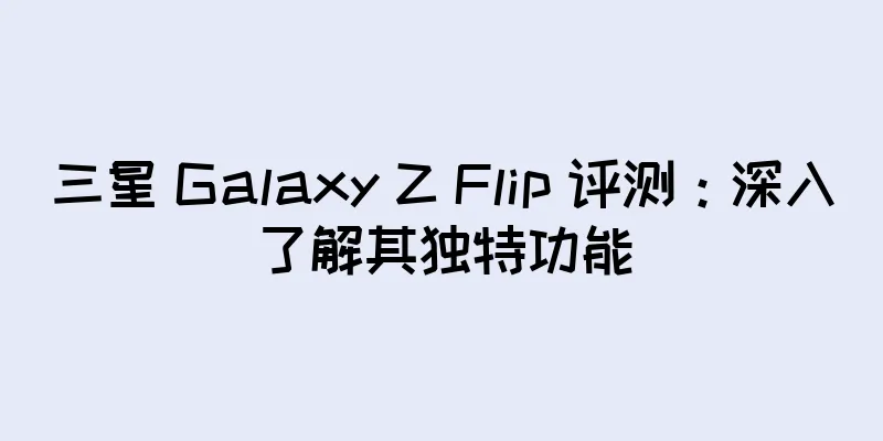 三星 Galaxy Z Flip 评测：深入了解其独特功能