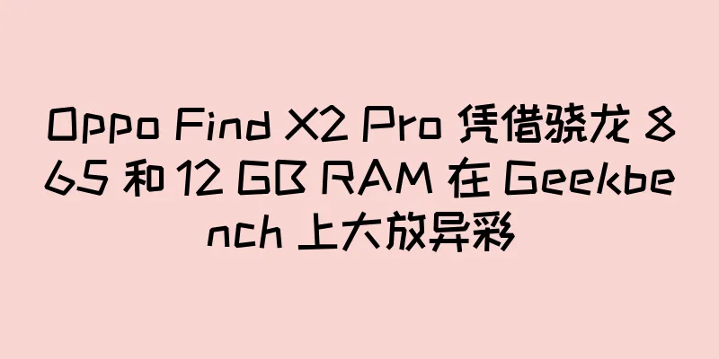 Oppo Find X2 Pro 凭借骁龙 865 和 12 GB RAM 在 Geekbench 上大放异彩