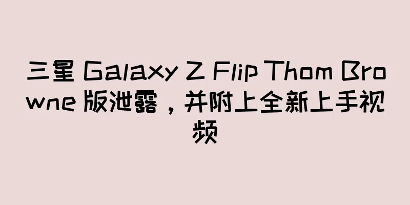 三星 Galaxy Z Flip Thom Browne 版泄露，并附上全新上手视频