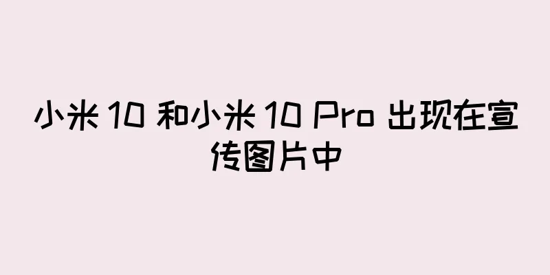 小米 10 和小米 10 Pro 出现在宣传图片中