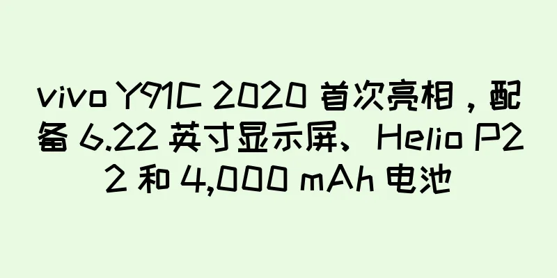 vivo Y91C 2020 首次亮相，配备 6.22 英寸显示屏、Helio P22 和 4,000 mAh 电池