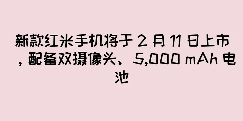 新款红米手机将于 2 月 11 日上市，配备双摄像头、5,000 mAh 电池