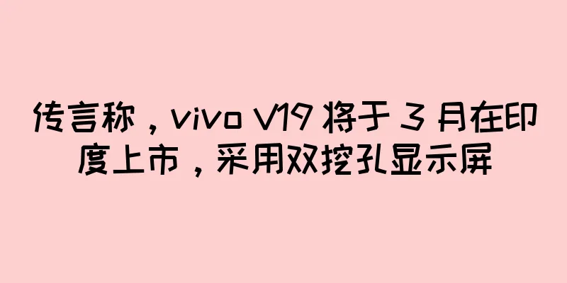 传言称，vivo V19 将于 3 月在印度上市，采用双挖孔显示屏