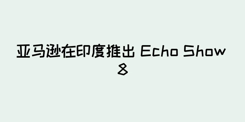 亚马逊在印度推出 Echo Show 8