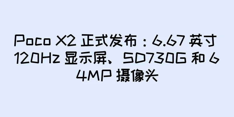 Poco X2 正式发布：6.67 英寸 120Hz 显示屏、SD730G 和 64MP 摄像头