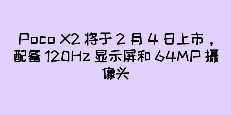 Poco X2 将于 2 月 4 日上市，配备 120Hz 显示屏和 64MP 摄像头