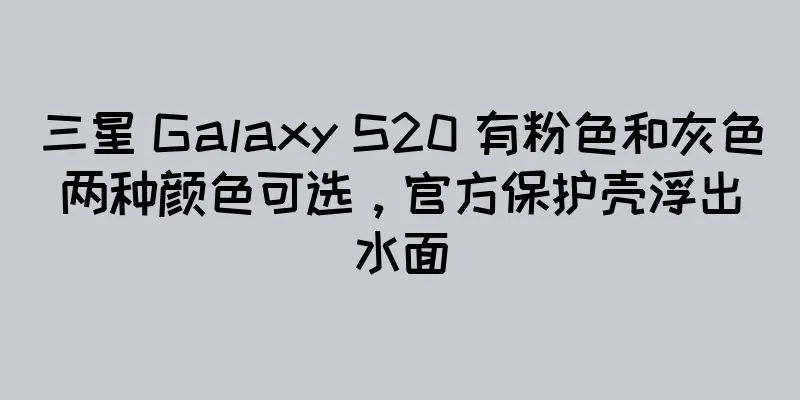 三星 Galaxy S20 有粉色和灰色两种颜色可选，官方保护壳浮出水面