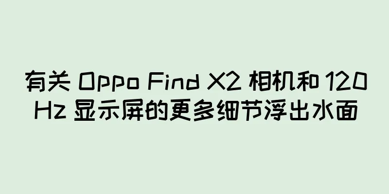 有关 Oppo Find X2 相机和 120Hz 显示屏的更多细节浮出水面