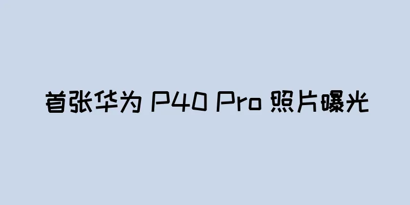 首张华为 P40 Pro 照片曝光