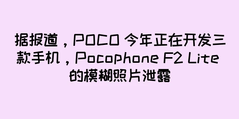 据报道，POCO 今年正在开发三款手机，Pocophone F2 Lite 的模糊照片泄露