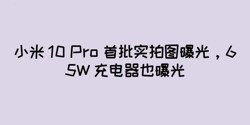 小米 10 Pro 首批实拍图曝光，65W 充电器也曝光