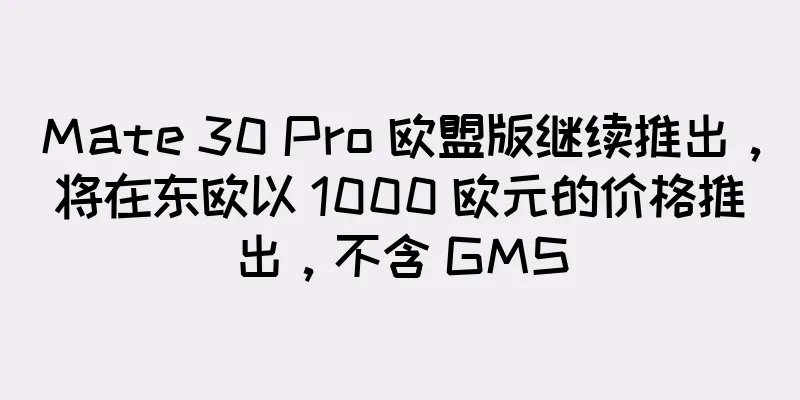 Mate 30 Pro 欧盟版继续推出，将在东欧以 1000 欧元的价格推出，不含 GMS