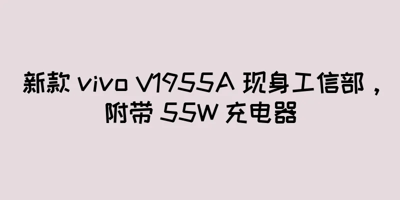 新款 vivo V1955A 现身工信部，附带 55W 充电器