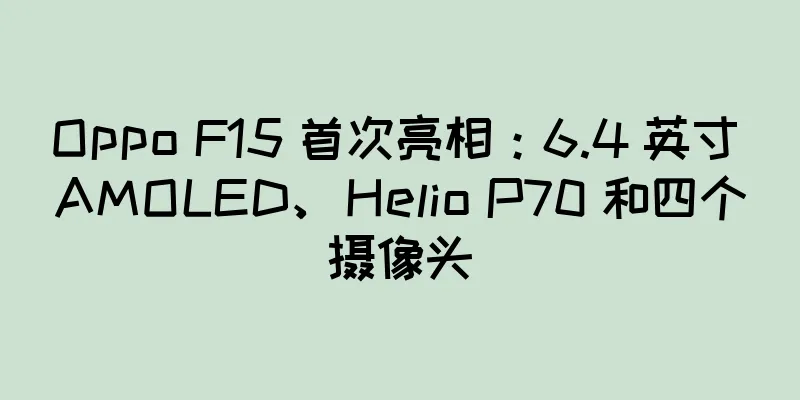Oppo F15 首次亮相：6.4 英寸 AMOLED、Helio P70 和四个摄像头