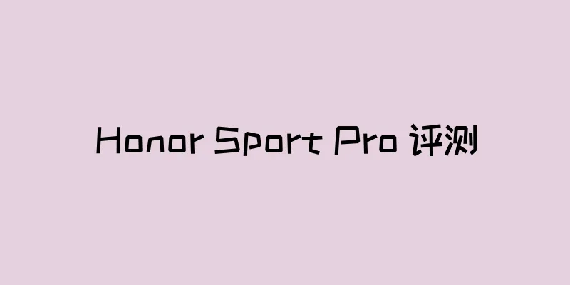 Honor Sport Pro 评测