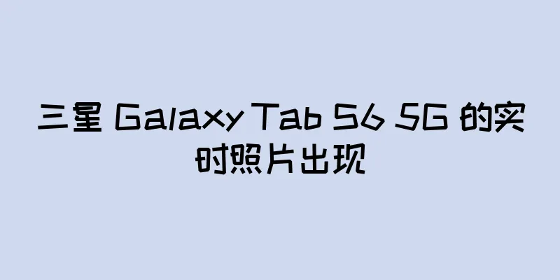 三星 Galaxy Tab S6 5G 的实时照片出现