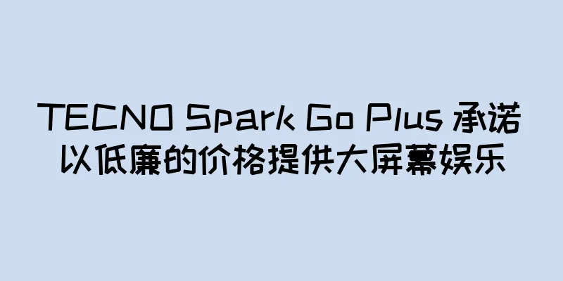 TECNO Spark Go Plus 承诺以低廉的价格提供大屏幕娱乐