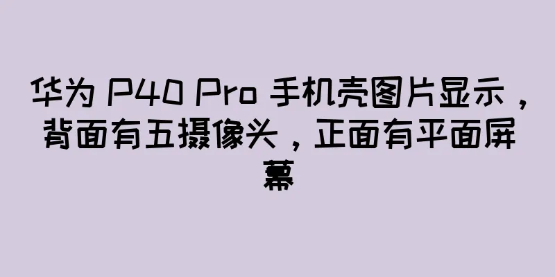 华为 P40 Pro 手机壳图片显示，背面有五摄像头，正面有平面屏幕