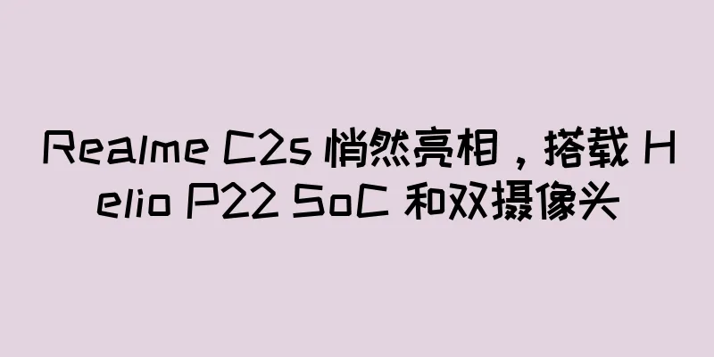 Realme C2s 悄然亮相，搭载 Helio P22 SoC 和双摄像头