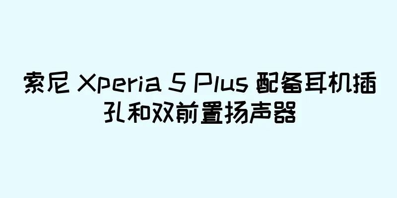 索尼 Xperia 5 Plus 配备耳机插孔和双前置扬声器
