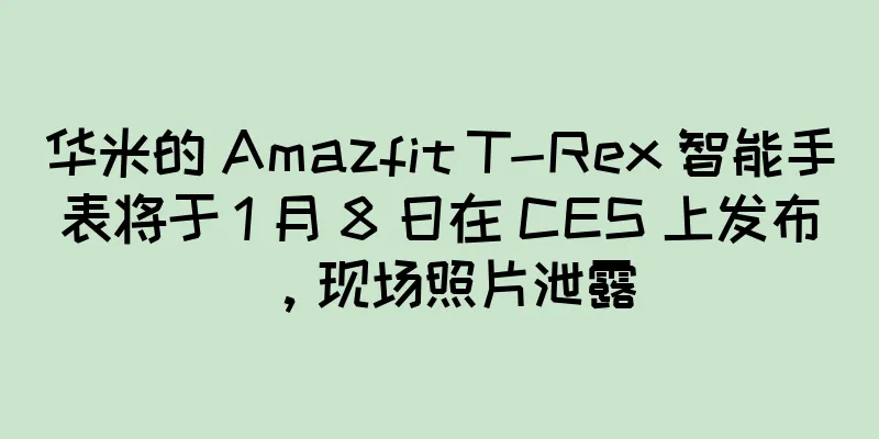 华米的 Amazfit T-Rex 智能手表将于 1 月 8 日在 CES 上发布，现场照片泄露