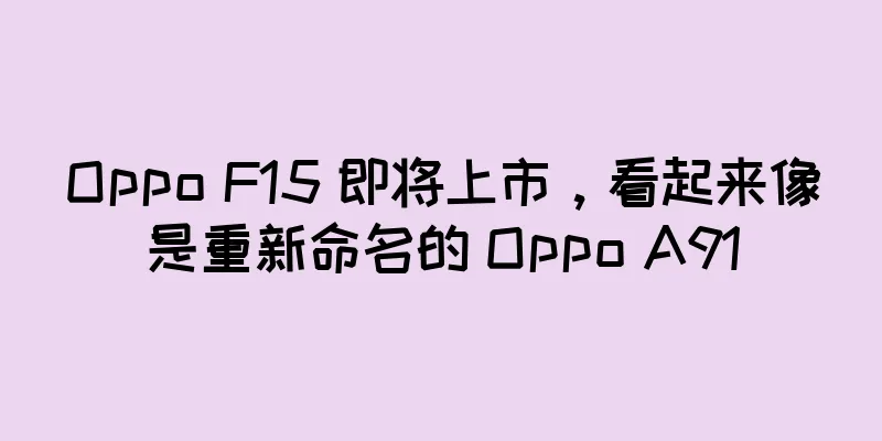 Oppo F15 即将上市，看起来像是重新命名的 Oppo A91