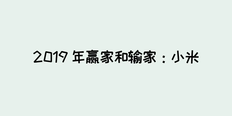 2019 年赢家和输家：小米