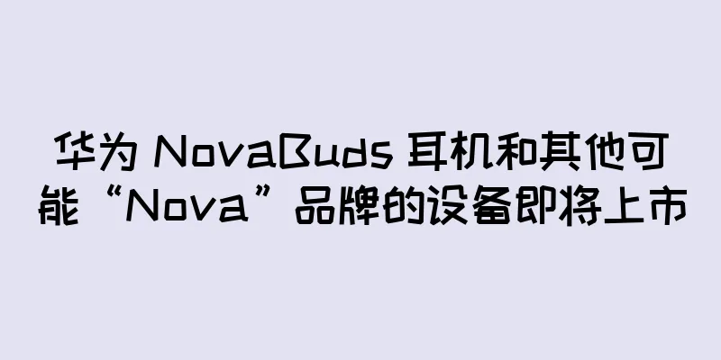 华为 NovaBuds 耳机和其他可能“Nova”品牌的设备即将上市