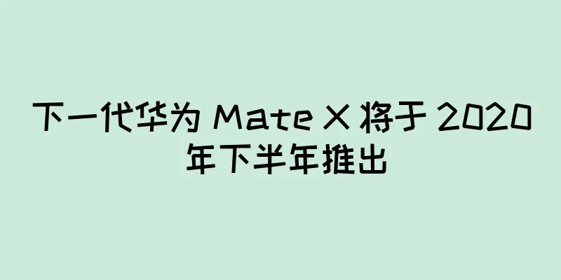 下一代华为 Mate X 将于 2020 年下半年推出