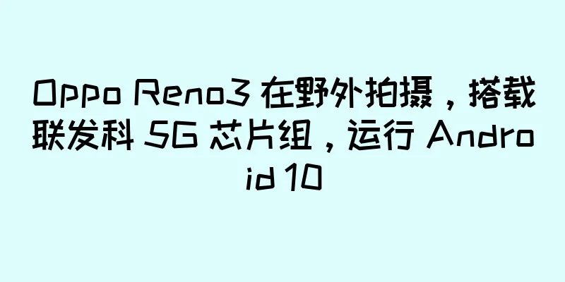 Oppo Reno3 在野外拍摄，搭载联发科 5G 芯片组，运行 Android 10