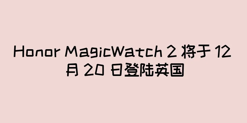 Honor MagicWatch 2 将于 12 月 20 日登陆英国