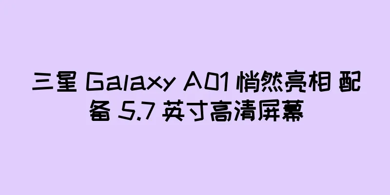 三星 Galaxy A01 悄然亮相 配备 5.7 英寸高清屏幕