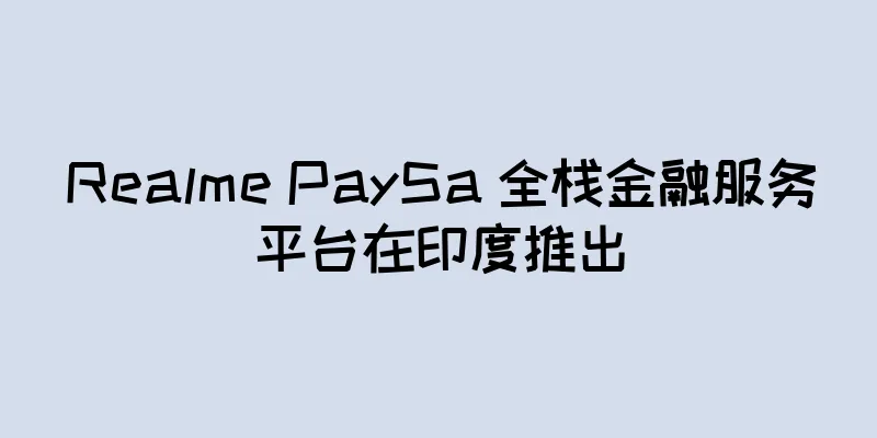 Realme PaySa 全栈金融服务平台在印度推出