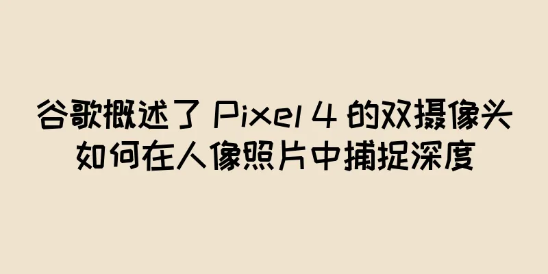 谷歌概述了 Pixel 4 的双摄像头如何在人像照片中捕捉深度