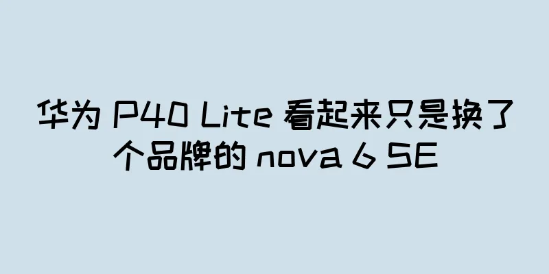 华为 P40 Lite 看起来只是换了个品牌的 nova 6 SE